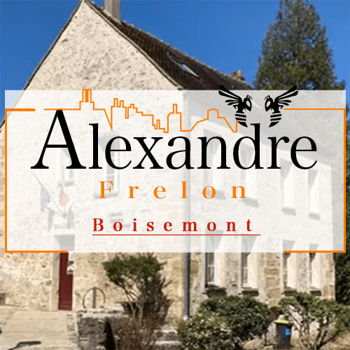 illustration Désinsectiseur Désinsectisation Frelons Boisemont