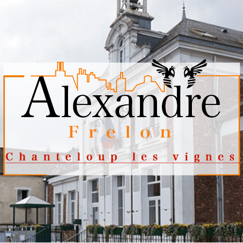 illustration Désinsectiseur Désinsectisation Frelons Chanteloup les Vignes
