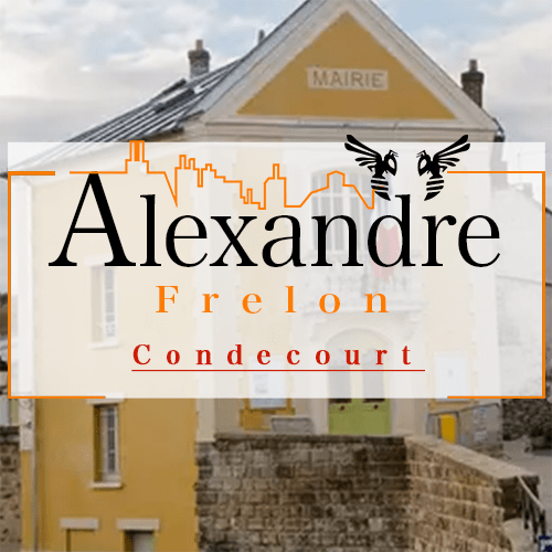 illustration Désinsectiseur Désinsectisation Frelons Condecourt