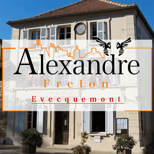 illustration Désinsectiseur Désinsectisation Frelons Evecquemont