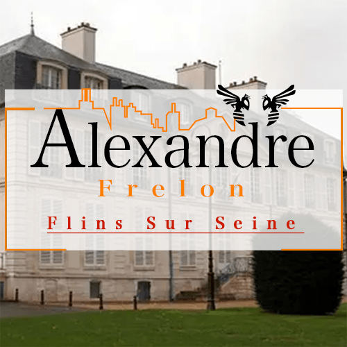 illustration Désinsectiseur Désinsectisation Frelons Flins sur Seine