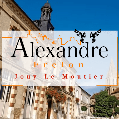 illustration Désinsectiseur Désinsectisation Frelons Jouy le Moutier
