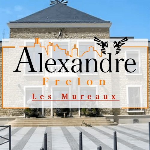 illustration Désinsectiseur Désinsectisation Frelons Les Mureaux