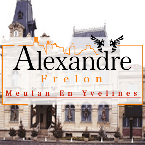 illustration Désinsectiseur Désinsectisation Guèpes Meulan en Yvelines