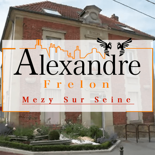 illustration Désinsectiseur Désinsectisation Frelons Mezy sur Seine