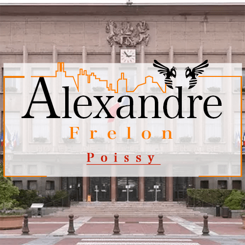 illustration Désinsectiseur Désinsectisation Frelons Poissy