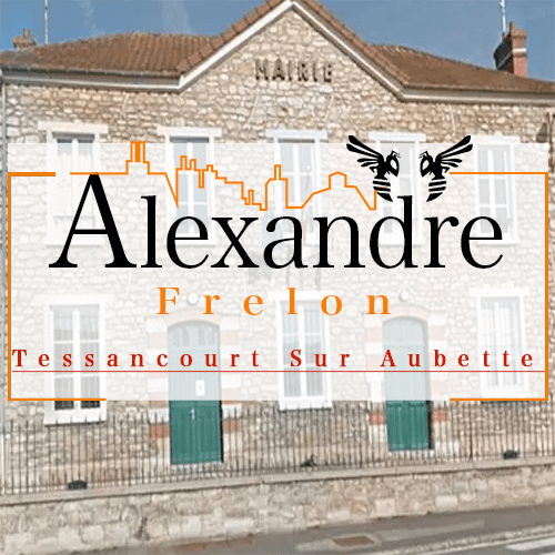 illustration Désinsectiseur Désinsectisation Frelons Tessancourt Sur Aubette