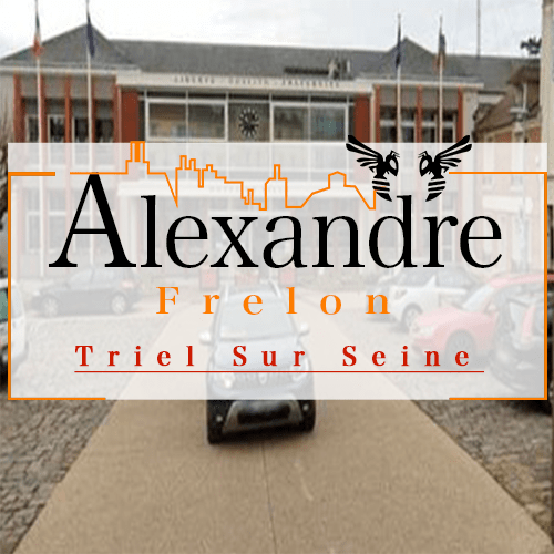 illustration Désinsectiseur Désinsectisation Frelons Triel sur Seine