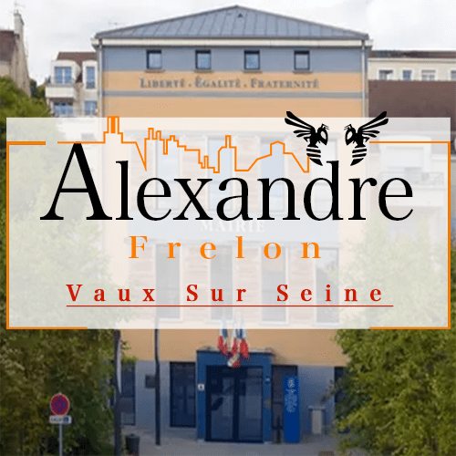 illustration Désinsectiseur Désinsectisation Frelons Vaux sur Seine