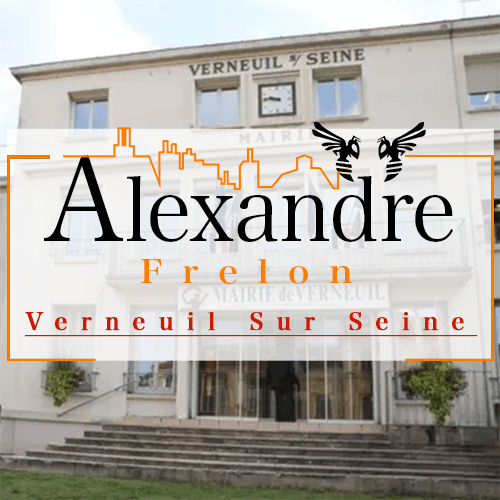 illustration Désinsectiseur Désinsectisation Frelons Verneuil sur Seine