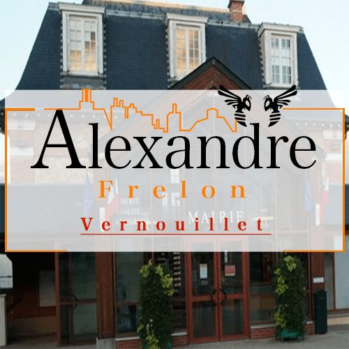 illustration Désinsectiseur Désinsectisation Frelons Vernouillet