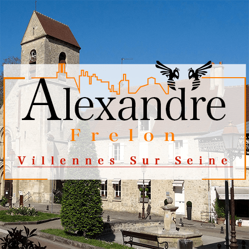 illustration Désinsectiseur Désinsectisation Guèpes Villennes sur Seine
